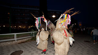 Ljetni karneval 2011. u Biogradu na Moru, Foto. Franjo Jurić