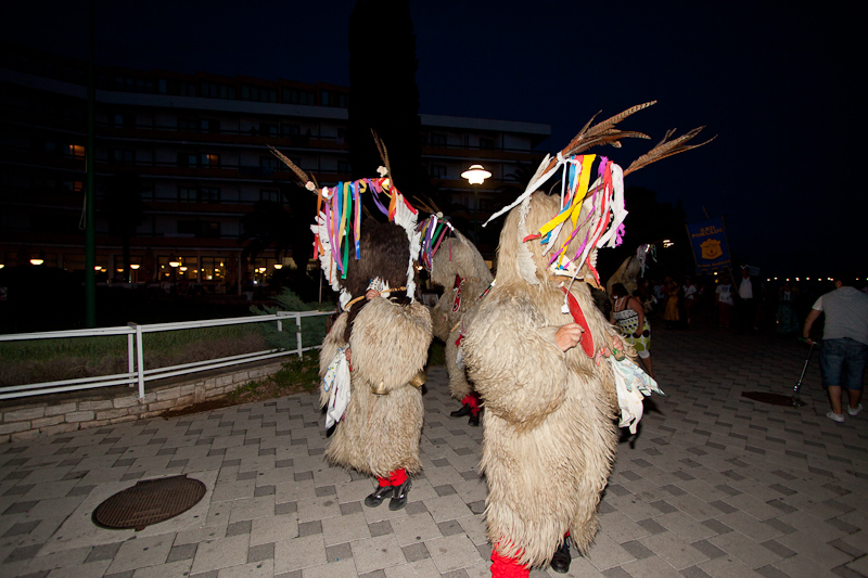 Ljetni karneval 2011. u Biogradu na Moru, Foto. Franjo Jurić