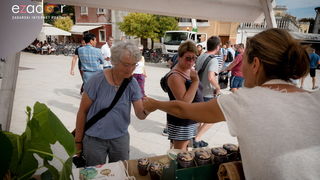 11. Festival smokava – Gastro smokva @ Muzej antičkog stakla 11. Festival smokava – Gastro smokva @ Muzej antičkog stakla