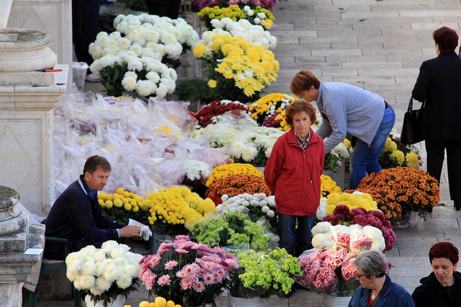 Započela prodaja cvijeća na zadarskoj tržnici, foto-I. Perinčić Započela prodaja cvijeća na zadarskoj tržnici, foto-I. Perinčić