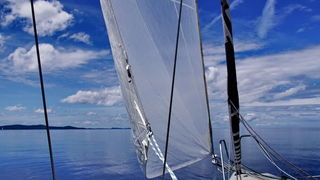 Image 441285 (auto) Image 441285 (auto)