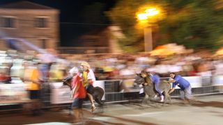 Tisno: 6. Međunarona “Trka tovarov”, Foto: Edin Kadić Tisno: 6. Međunarona “Trka tovarov”, Foto: Edin Kadić