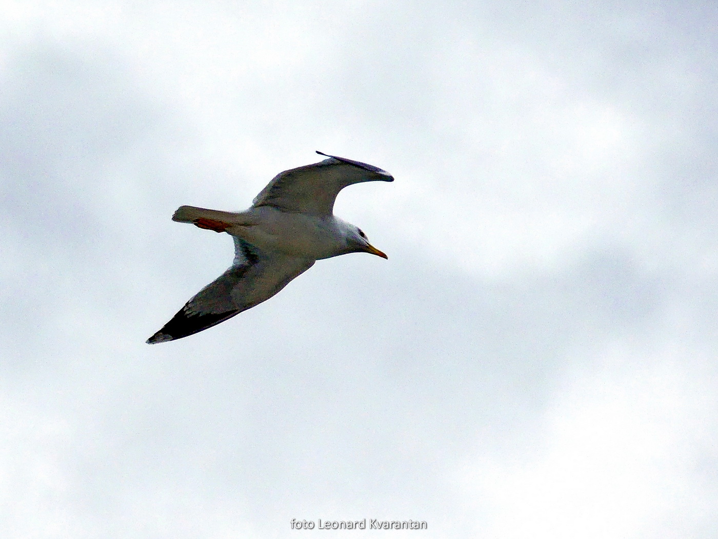 Olujno jugo u Zadru, nedjelja 6. prosinca 2020. godine