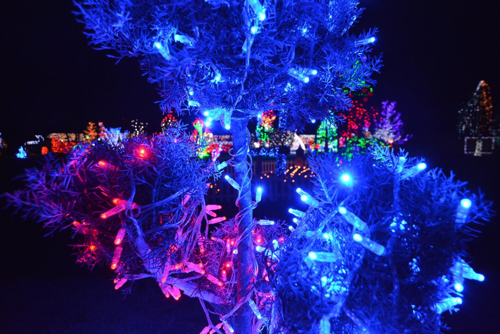 Uz 2,5 milijuna lampica zasjala ovogodišnja božićna bajka u Salajlandu Uz 2,5 milijuna lampica zasjala ovogodišnja božićna bajka u Salajlandu