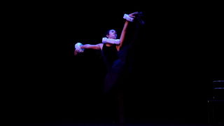 Solo Art natjecanje: Plesna udruga Pirueta