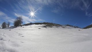 16.03.2014., Juzni Velebit – Topljenje snijega na Juznom Velebitu i procvjetani prvi planinski cvjetovi u ranom proljecu najavljuju skorasnje toplije vrijeme. Photo: Filip Brala/PIXSELL Autor Filip Brala/PIXSELL Ključne riječi rekreacija, planina, pro 16.03.2014., Juzni Velebit – Topljenje snijega na Juznom Velebitu i procvjetani prvi planinski cvjetovi u ranom proljecu najavljuju skorasnje toplije vrijeme. Photo: Filip Brala/PIXSELL Autor Filip Brala/PIXSELL Ključne riječi rekreacija, planina, pro
