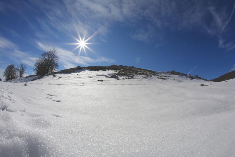 16.03.2014., Juzni Velebit – Topljenje snijega na Juznom Velebitu i procvjetani prvi planinski cvjetovi u ranom proljecu najavljuju skorasnje toplije vrijeme. Photo: Filip Brala/PIXSELL Autor Filip Brala/PIXSELL Ključne riječi rekreacija, planina, pro 16.03.2014., Juzni Velebit – Topljenje snijega na Juznom Velebitu i procvjetani prvi planinski cvjetovi u ranom proljecu najavljuju skorasnje toplije vrijeme. Photo: Filip Brala/PIXSELL Autor Filip Brala/PIXSELL Ključne riječi rekreacija, planina, pro