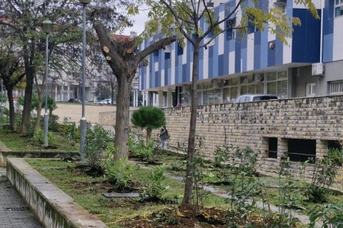 594547150_1681292896553558_6673614038466896603_n