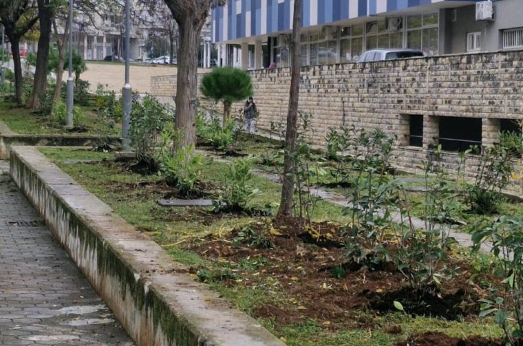 594547150_1681292896553558_6673614038466896603_n 594547150_1681292896553558_6673614038466896603_n