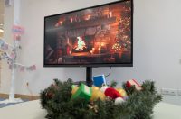 Gradska knjižnica Zadar jelke blagdanski ugođaj blagdani ilustracija kuglice Gradska knjižnica Zadar jelke blagdanski ugođaj blagdani ilustracija kuglice