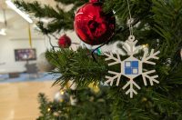 Gradska knjižnica Zadar jelke blagdanski ugođaj blagdani ilustracija kuglice Gradska knjižnica Zadar jelke blagdanski ugođaj blagdani ilustracija kuglice