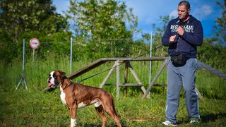 Kinološka udruga Malinois