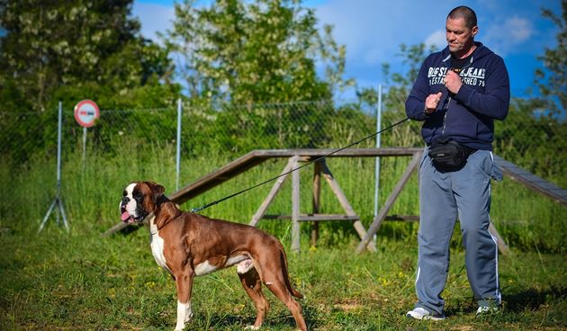 Kinološka udruga Malinois