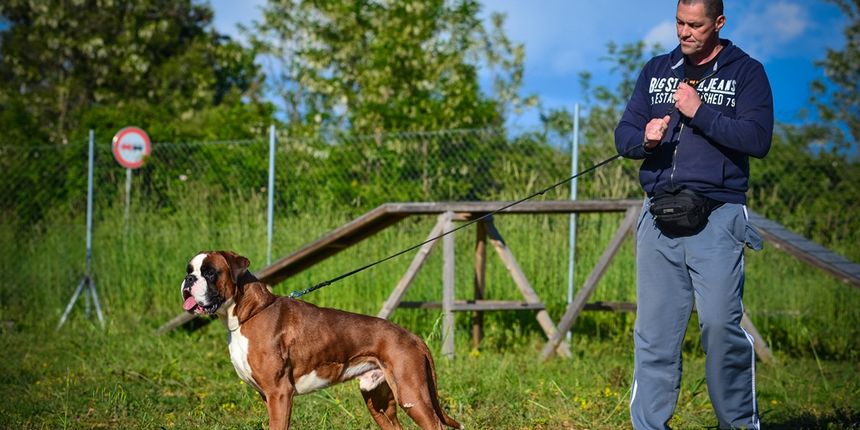 Kinološka udruga Malinois