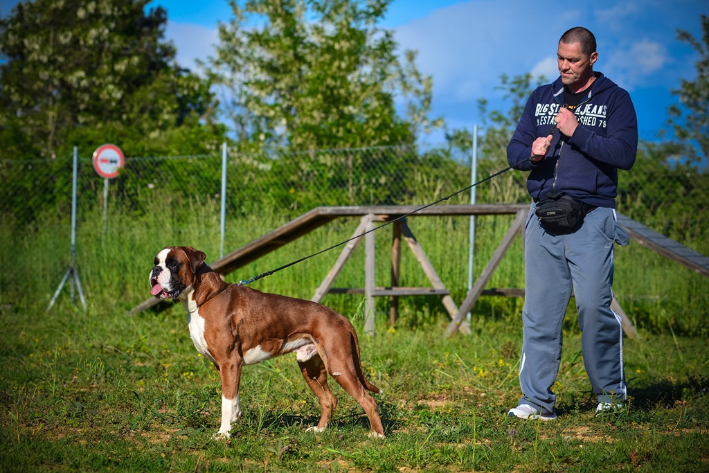 Kinološka udruga Malinois