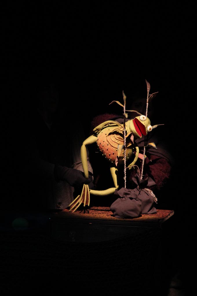 Sa “Zvjezdicom” započelo Sunce na Poluotoku, foto: Iva Perinčić