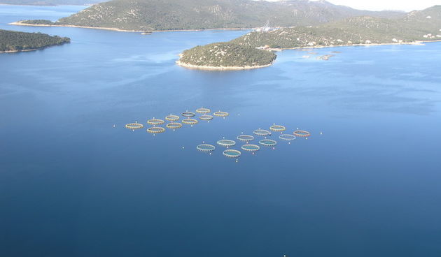 Uzgajalište lamjana Cromaris