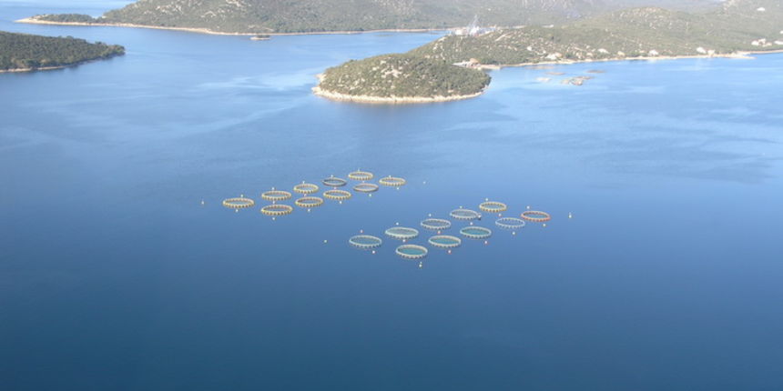 Uzgajalište lamjana Cromaris