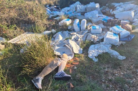 596436316_10235051796608431_4477863879379072728_n 596436316_10235051796608431_4477863879379072728_n