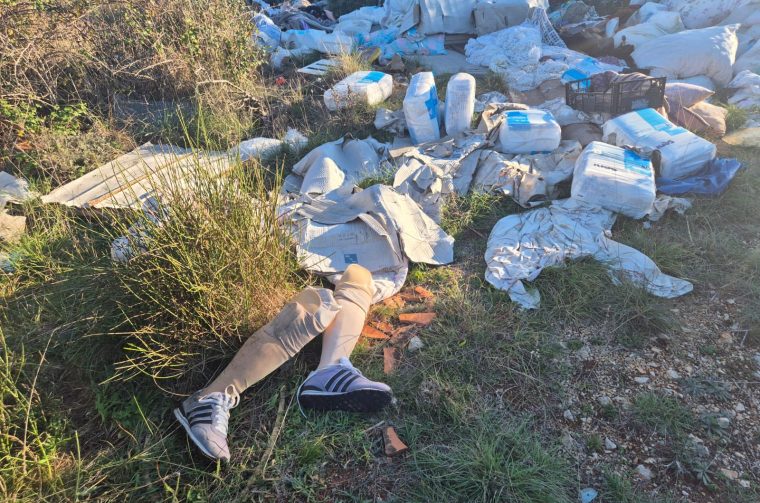 596436316_10235051796608431_4477863879379072728_n 596436316_10235051796608431_4477863879379072728_n