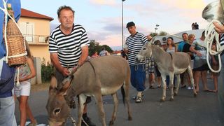 Trka Tovarov – 48. Memorijal Kenje Vijole Sukošan  Photo: Leo Banić