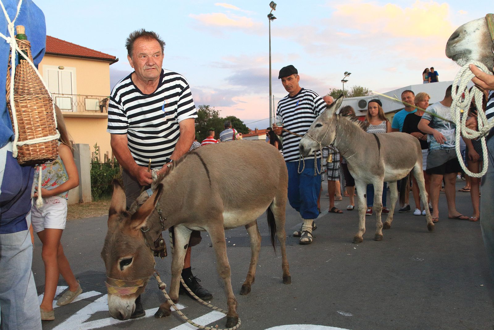 Trka Tovarov – 48. Memorijal Kenje Vijole Sukošan  Photo: Leo Banić