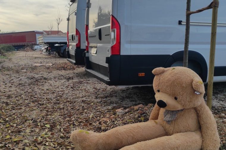 Ovaj veliki plišani medo čeka novog vlasnika Ovaj veliki plišani medo čeka novog vlasnika