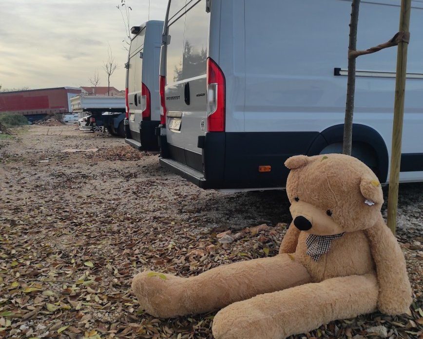 Ovaj veliki plišani medo čeka novog vlasnika