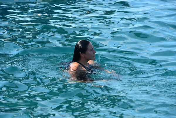 44. Plivački maraton Preko-Zadar 44. Plivački maraton Preko-Zadar