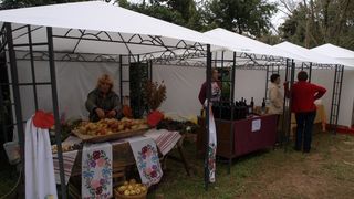 Sv. Filip i Jakov – 10. Dani cvijeća, 24. i 25. travnja 2010. (Foto: Vedran Penga)