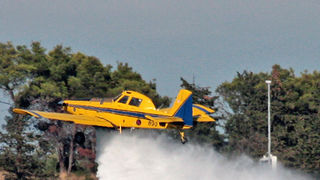 Požar na Plovaniji (foto: Marin Gospić) Požar na Plovaniji (foto: Marin Gospić)