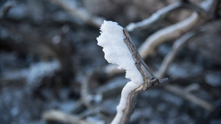 Od Velikog Rujna, preko Rujanske kose do Višerujna…