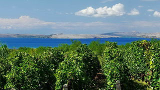 Sličice s Paga i Tulovih greda