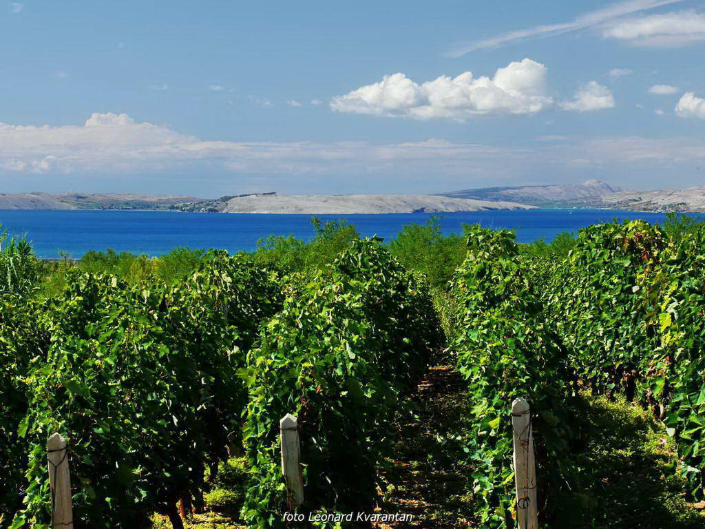 Sličice s Paga i Tulovih greda