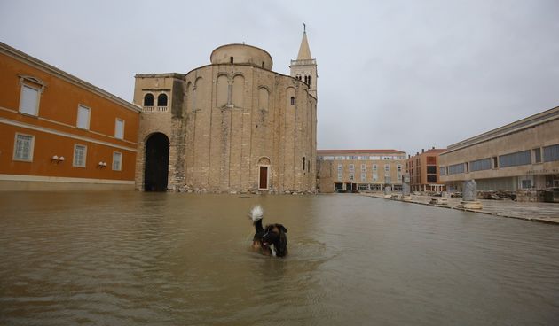 Poplava, Zadar