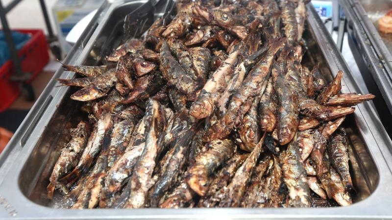 Betina: Održana 49. fešta od školjaka – Dan brganje. Photo: Duško Jaramaz/PIXSELL