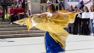 Đir po gradu 29. travnja 2017.