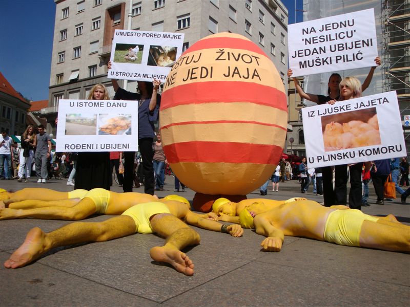 Akcija “Iz ljuske jajeta u plinsku komoru” Akcija “Iz ljuske jajeta u plinsku komoru”