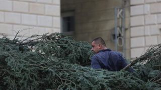 25.11.2013., Zadar – Na Narodnom trgu postavljena je jelka koja ce do prvog mjeseca 2014. krasiti najfrekventnije mjesto u centru grada. Photo: Filip Brala/PIXSELL Autor Filip Brala/PIXSELL KLJUČNE RIJEČI Narodni trg, bor, Jelka, Bozicni ugodjaj, bozi 25.11.2013., Zadar – Na Narodnom trgu postavljena je jelka koja ce do prvog mjeseca 2014. krasiti najfrekventnije mjesto u centru grada. Photo: Filip Brala/PIXSELL Autor Filip Brala/PIXSELL KLJUČNE RIJEČI Narodni trg, bor, Jelka, Bozicni ugodjaj, bozi