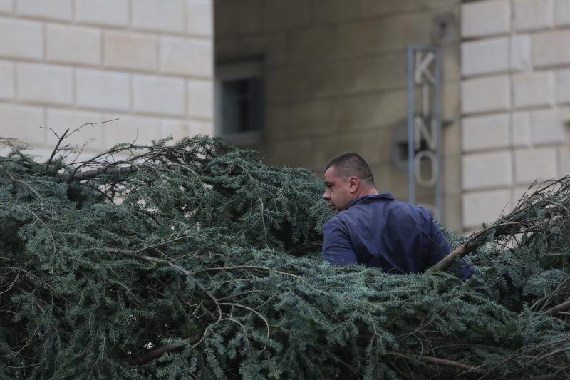 25.11.2013., Zadar – Na Narodnom trgu postavljena je jelka koja ce do prvog mjeseca 2014. krasiti najfrekventnije mjesto u centru grada. Photo: Filip Brala/PIXSELL Autor Filip Brala/PIXSELL KLJUČNE RIJEČI Narodni trg, bor, Jelka, Bozicni ugodjaj, bozi 25.11.2013., Zadar – Na Narodnom trgu postavljena je jelka koja ce do prvog mjeseca 2014. krasiti najfrekventnije mjesto u centru grada. Photo: Filip Brala/PIXSELL Autor Filip Brala/PIXSELL KLJUČNE RIJEČI Narodni trg, bor, Jelka, Bozicni ugodjaj, bozi