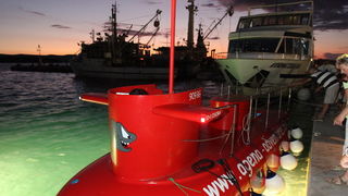 Zadar, 050809.
U sklopu manifestacije Biogradsko ljeto sinoc je na programu bila tradicionalna Biogradska noc, velika turisticka festa koja je zapocela u vecernjim satima na Obali kralja Petra Kresimira IV. Biogradjani za sve posjetitelje feste pripremili