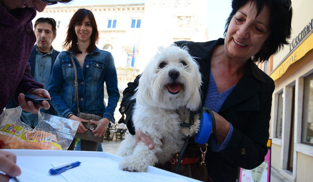 Narodni trg: Potpisivanje peticije za azil, foto: Iva Perincic