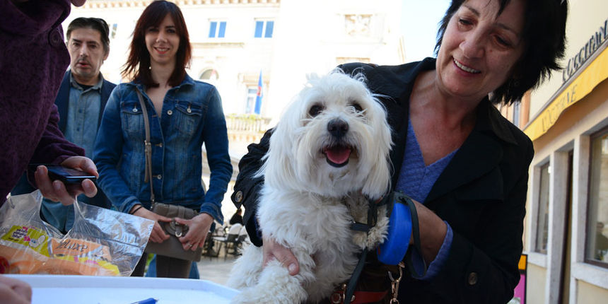 Narodni trg: Potpisivanje peticije za azil, foto: Iva Perincic Narodni trg: Potpisivanje peticije za azil, foto: Iva Perincic