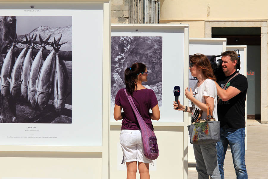 Izložba fotografija “Prijatelji mora” Izložba fotografija “Prijatelji mora”
