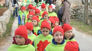 Virski Karnevalić 2017.