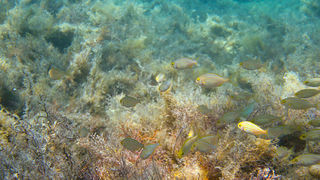 OLYMPUS DIGITAL CAMERA OLYMPUS DIGITAL CAMERA