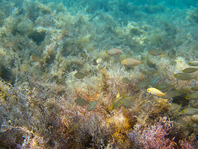 OLYMPUS DIGITAL CAMERA OLYMPUS DIGITAL CAMERA