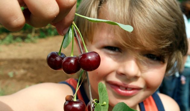 maraška-prosvjed u škabrnji(Foto:Jure Miskovic / CROPIX  )