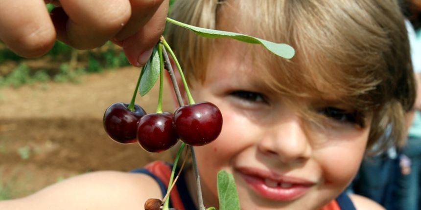 maraška-prosvjed u škabrnji(Foto:Jure Miskovic / CROPIX ) maraška-prosvjed u škabrnji(Foto:Jure Miskovic / CROPIX )