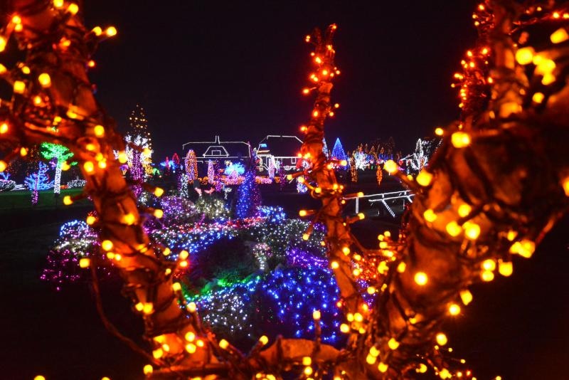 Božićna priča obitelji Salaj s rekordnih 1,88 milijuna lampica. Foto: Damir Špehar/PIXSELL